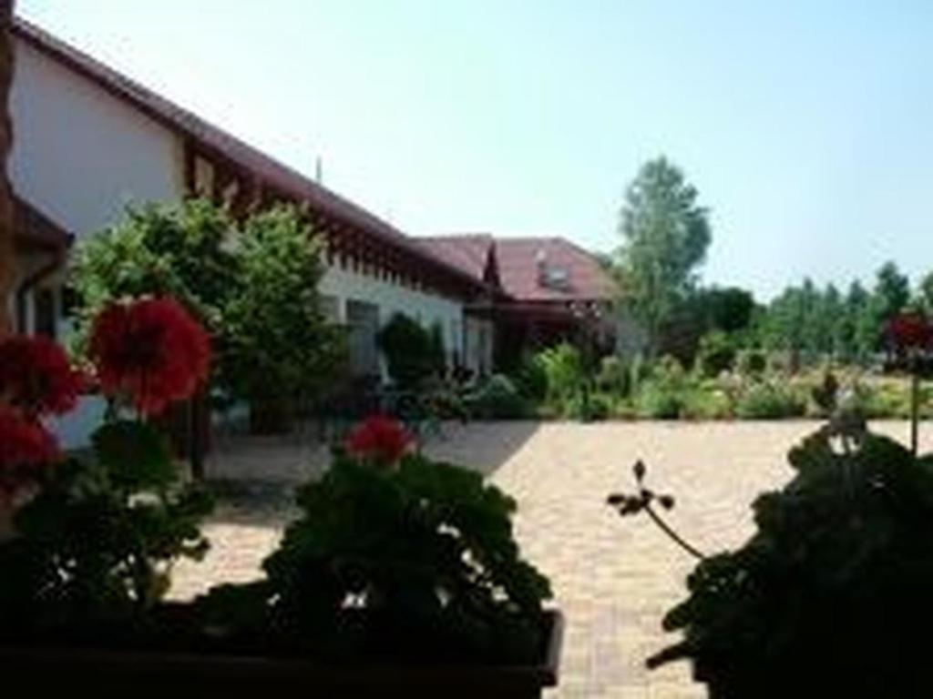 Bed and Breakfast Verba Tanya Kotaj Экстерьер фото